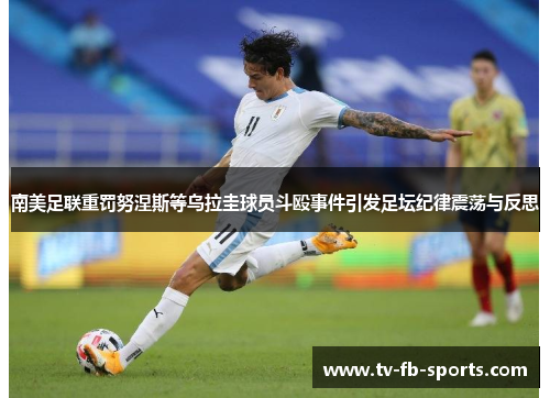 南美足联重罚努涅斯等乌拉圭球员斗殴事件引发足坛纪律震荡与反思