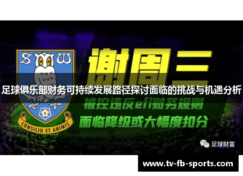 足球俱乐部财务可持续发展路径探讨面临的挑战与机遇分析 足球俱乐部财务可持续发展路径探讨面临的挑战与机遇分析
