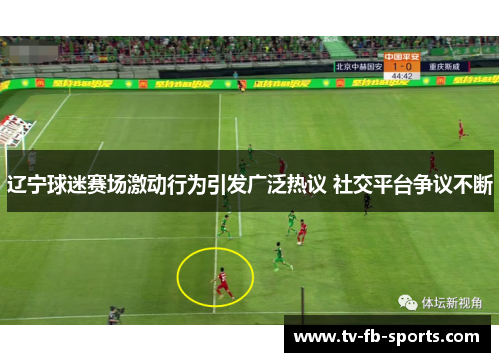 辽宁球迷赛场激动行为引发广泛热议 社交平台争议不断 辽宁球迷赛场激动行为引发广泛热议 社交平台争议不断